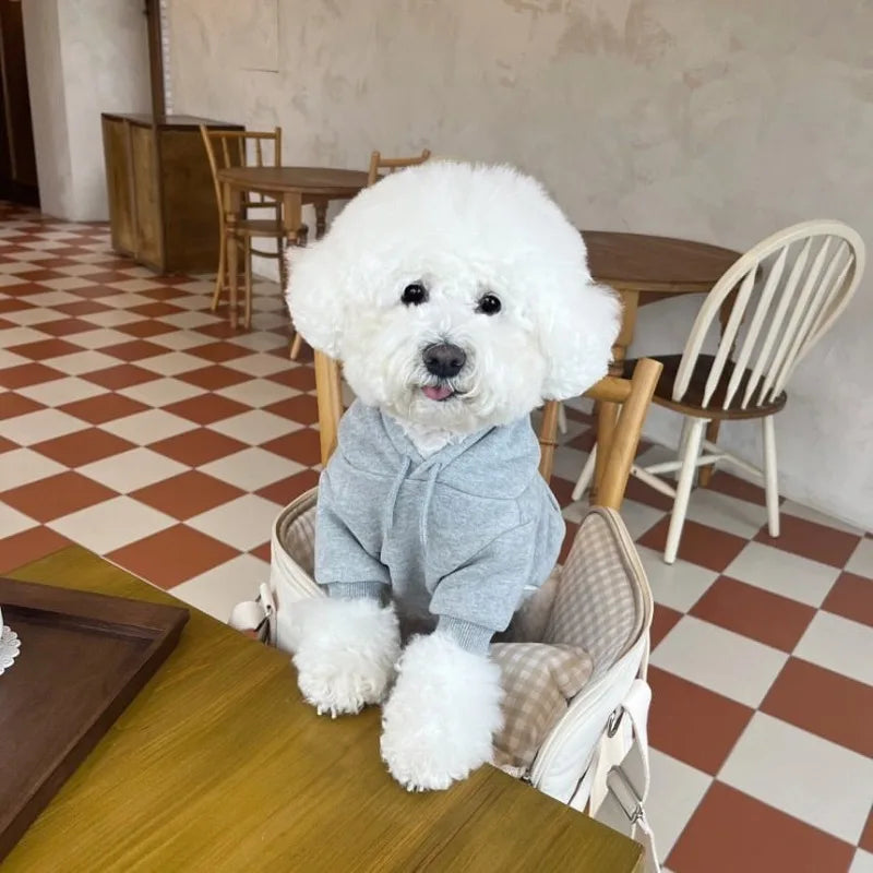 PfotenHoodie
