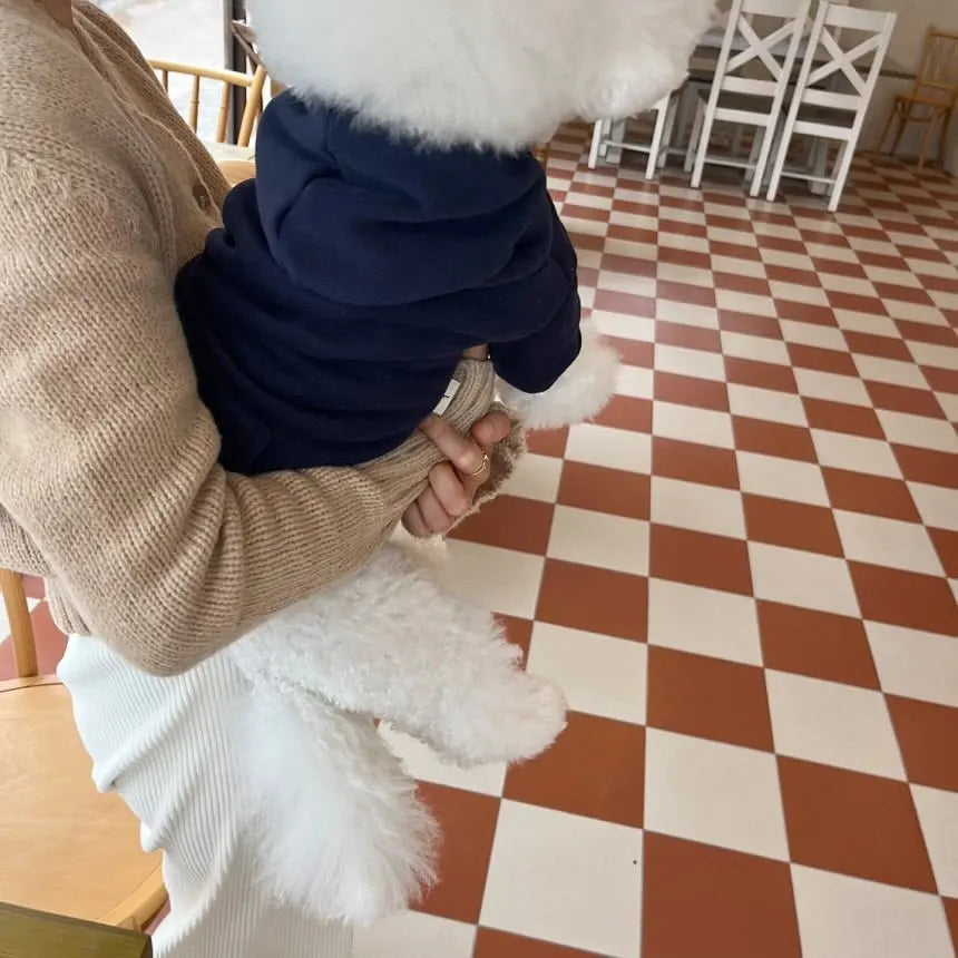 PfotenHoodie