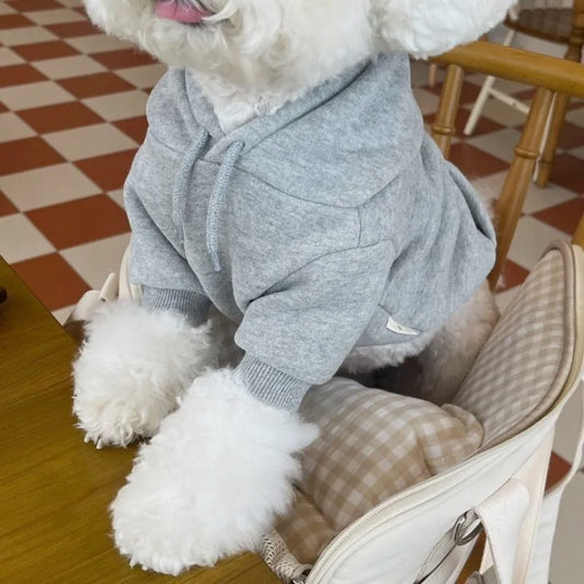 PfotenHoodie